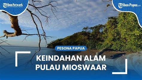 Pulau Mioswaar